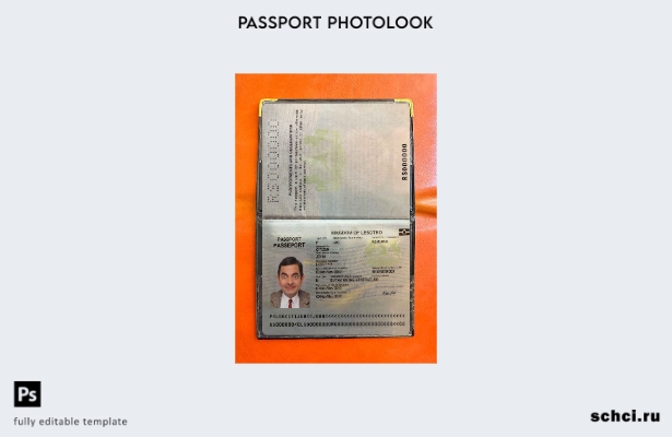 цифровая загрузка шаблона фото Lesotho Pass